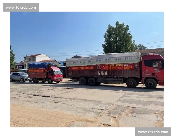 奥运冠军龙道一驰援家乡榕江：携物资投身救灾一线